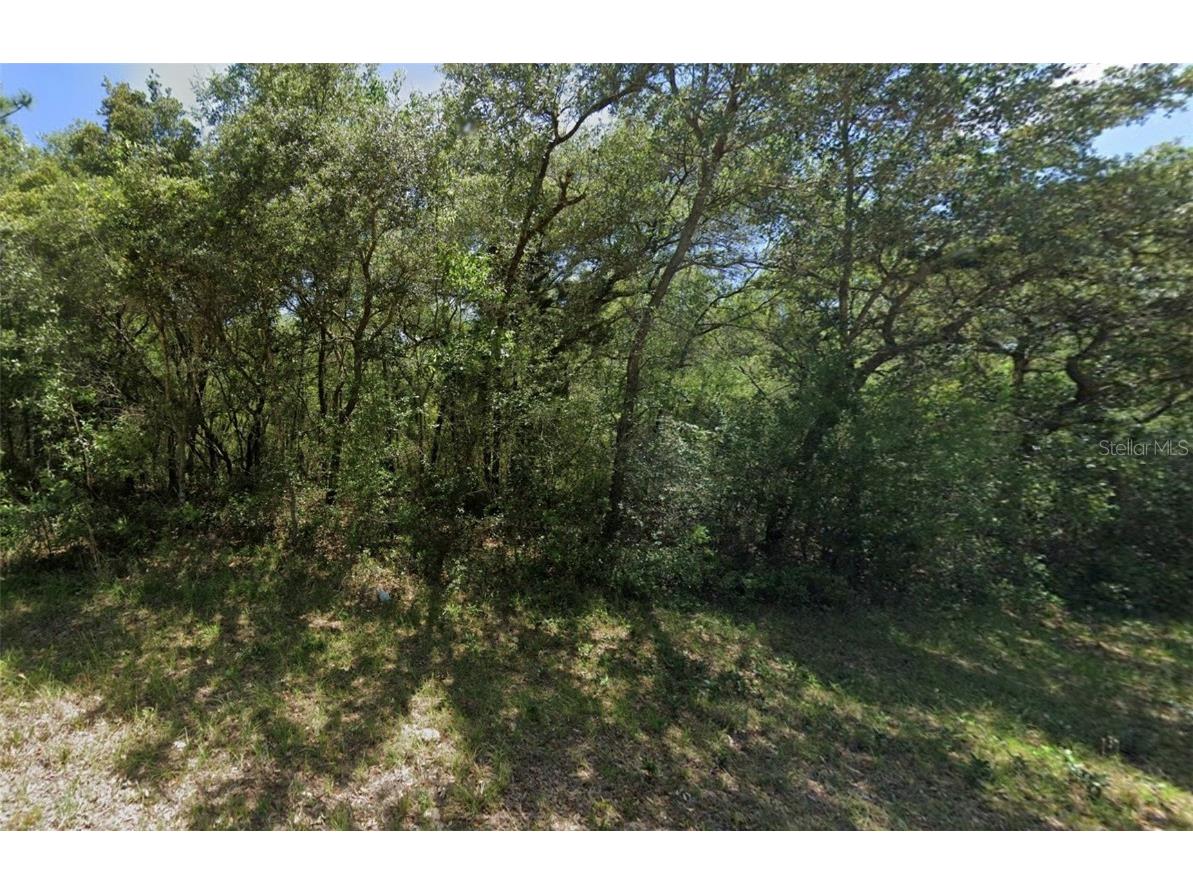 3908 W Tropic Lane Dunnellon FL 34433 TB8455730 image7