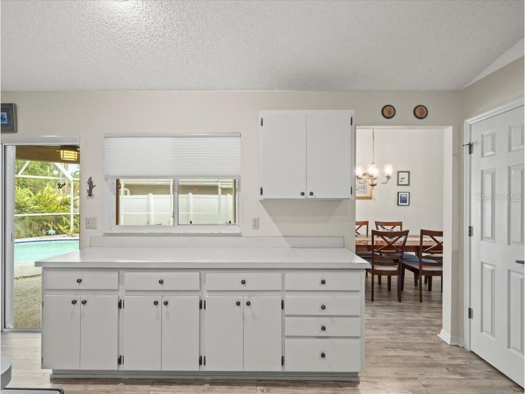 3908 Yellow Finch Lane Lutz FL 33558 T3542514 image10