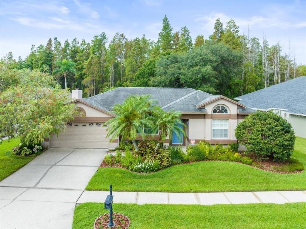 3908 Yellow Finch Lane Lutz FL 33558 T3542514 image2