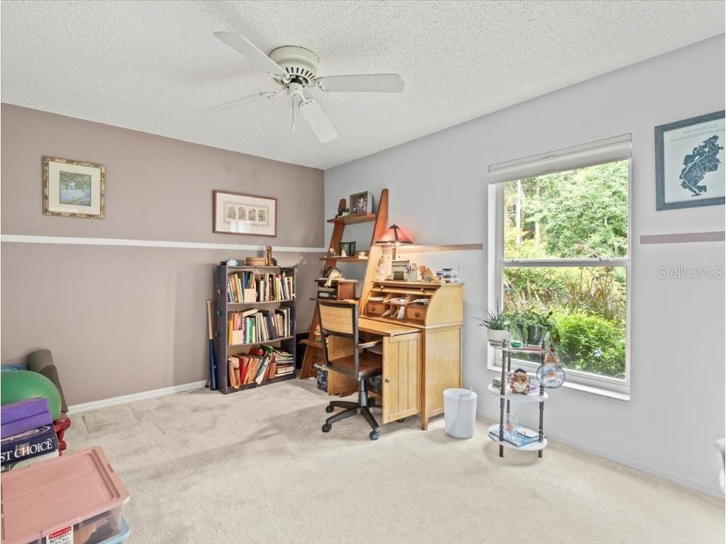 3908 Yellow Finch Lane Lutz FL 33558 T3542514 image21