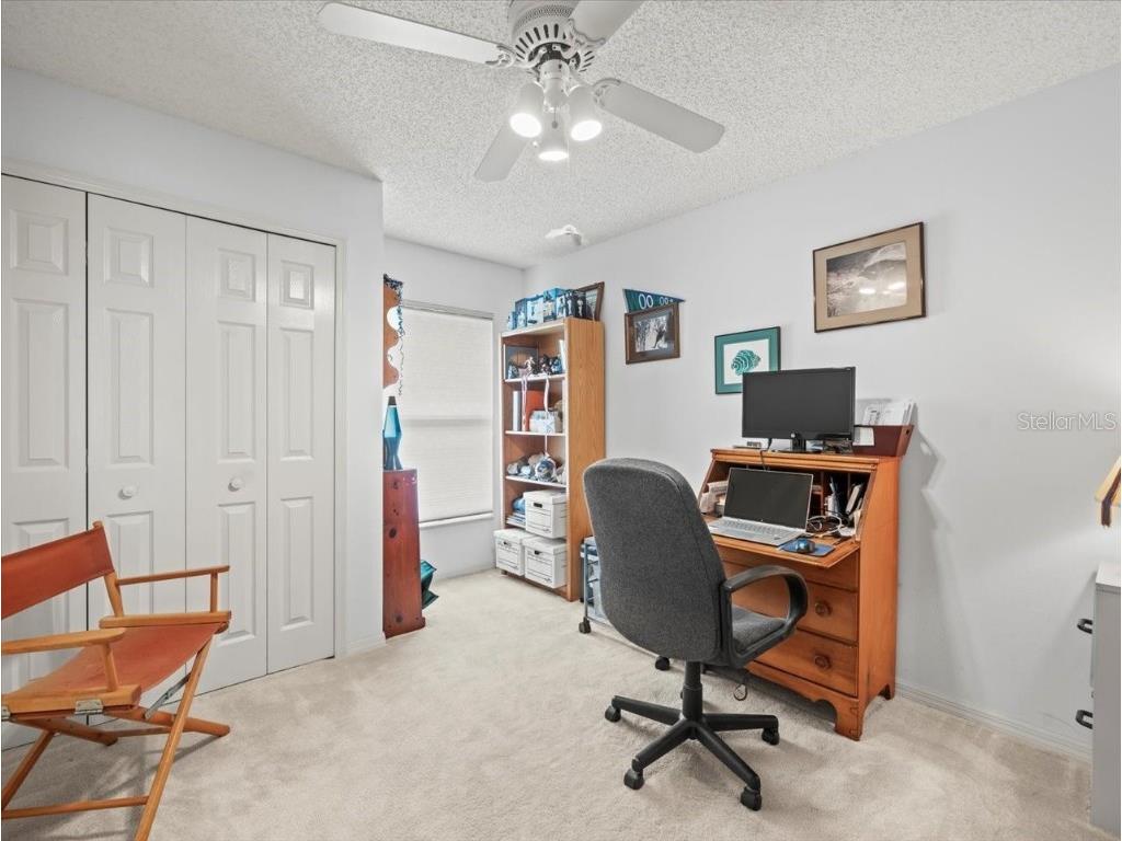 3908 Yellow Finch Lane Lutz FL 33558 T3542514 image24