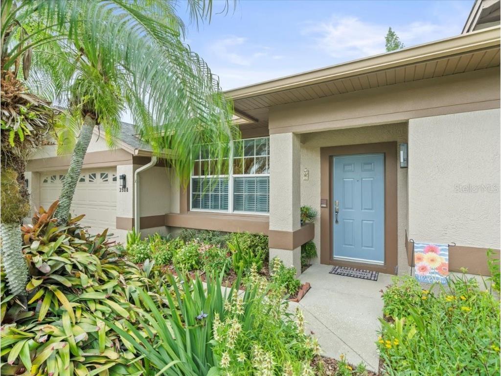 3908 Yellow Finch Lane Lutz FL 33558 T3542514 image31