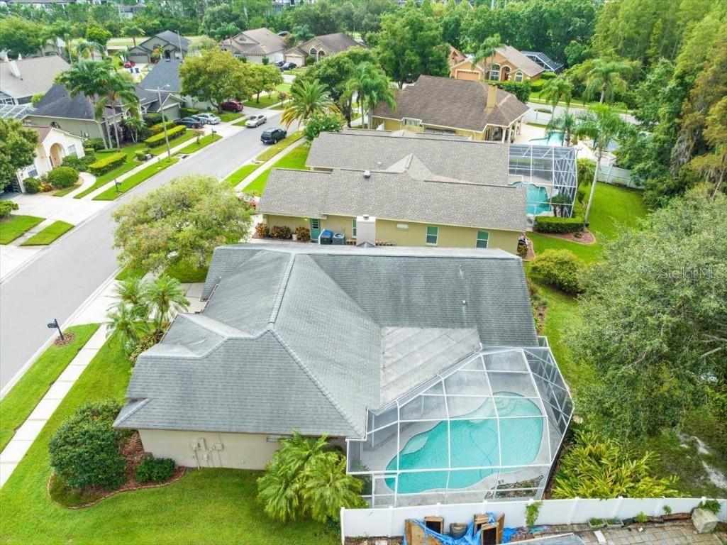 3908 Yellow Finch Lane Lutz FL 33558 T3542514 image34