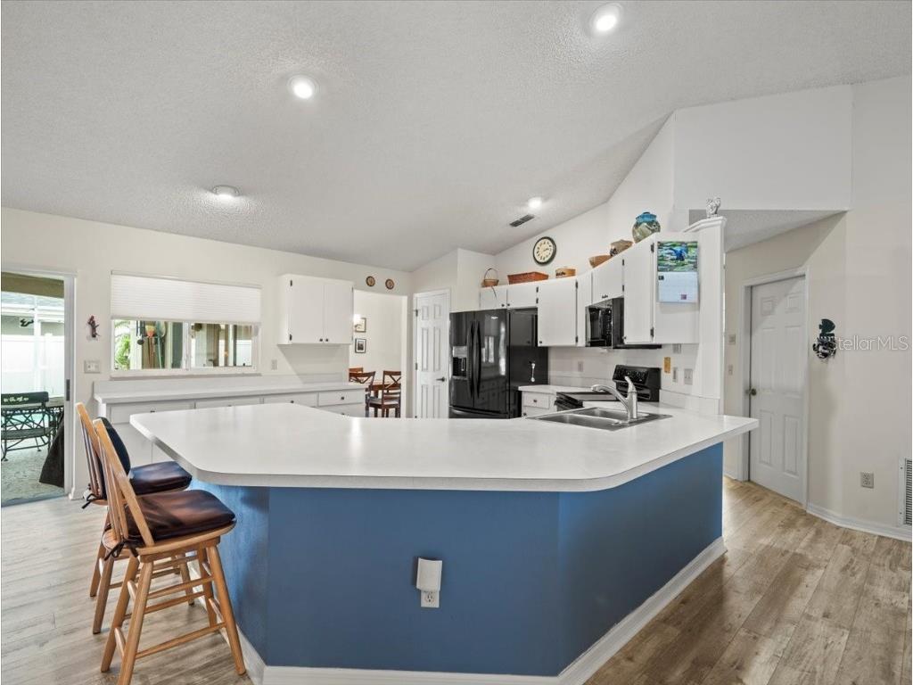 3908 Yellow Finch Lane Lutz FL 33558 T3542514 image6