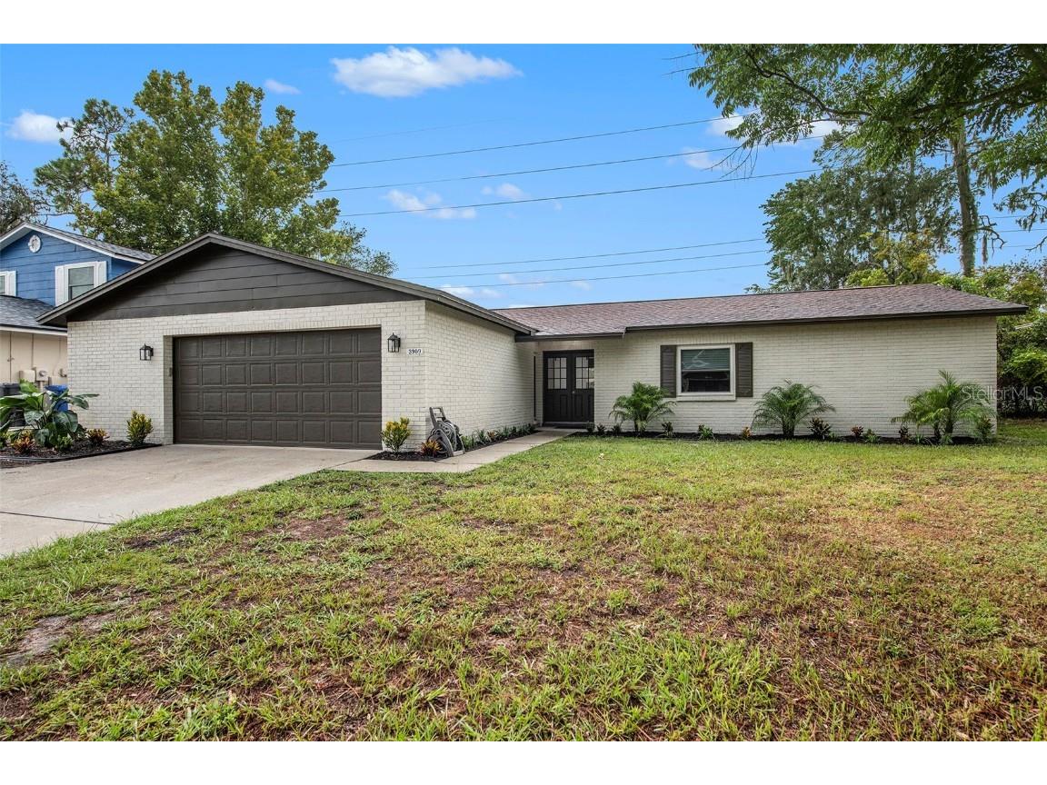 3909 Briarlake Drive Valrico FL 33596 T3466989 image1