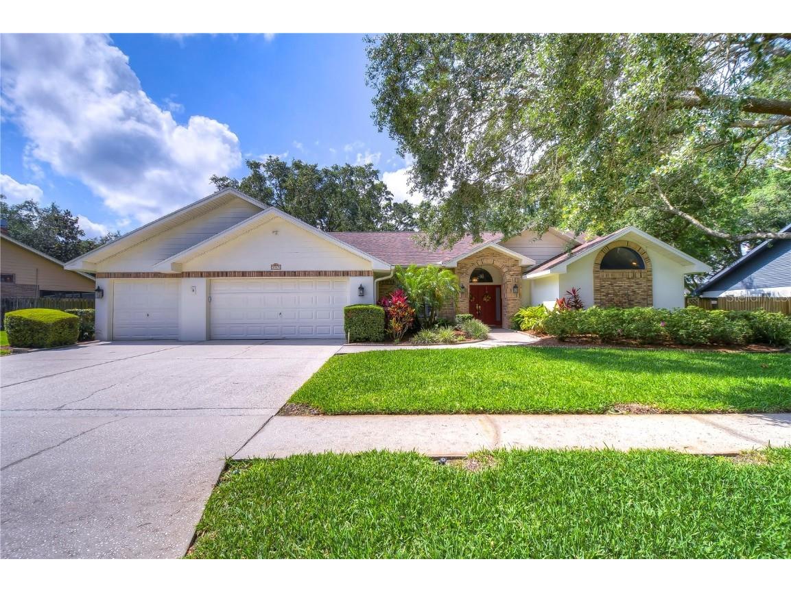 3909 Buckingham Loop Drive Valrico FL 33594 T3441002 image1