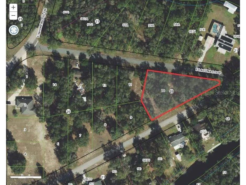 3909 E Laguna Loop Hernando FL 34442 OM694945 image1