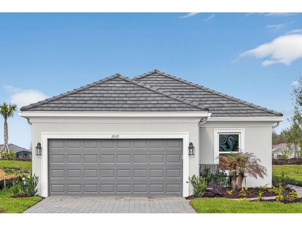 3909 Fraccareta Way Wesley Chapel FL 33543 TB8487458 image1