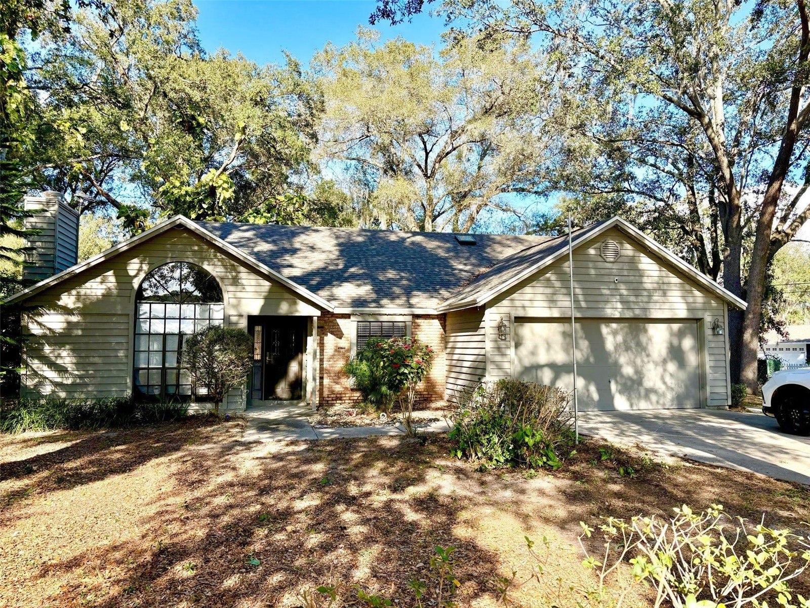 3909 Lake Forest Street Mount Dora FL 32757 O6375149 image1