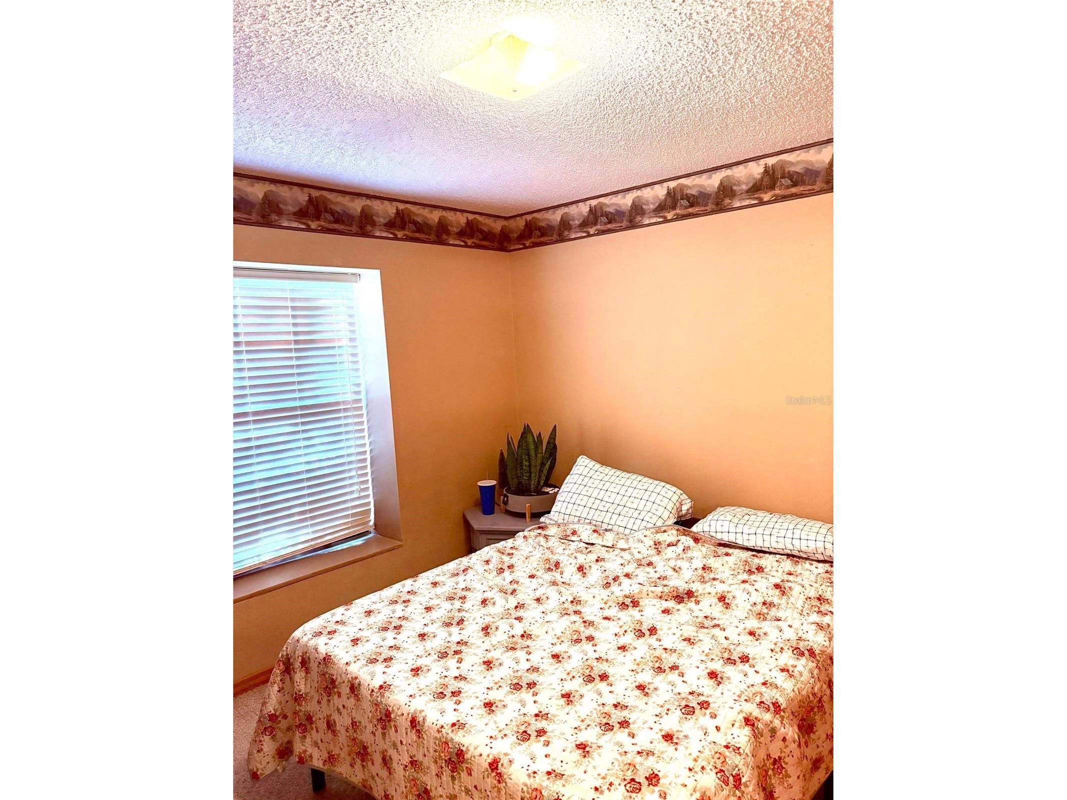 3909 Lake Forest Street Mount Dora FL 32757 O6375149 image11