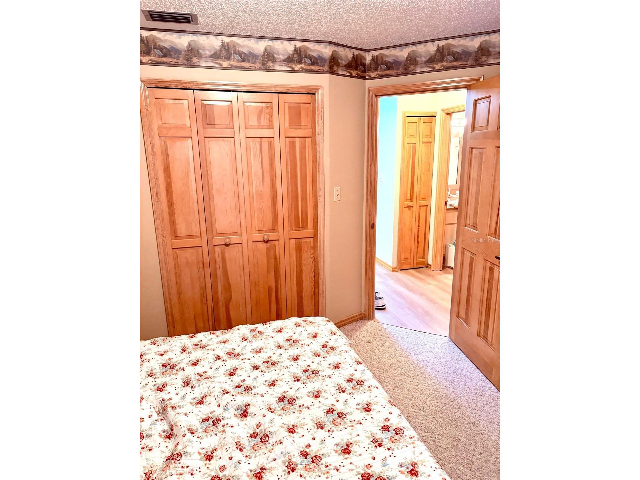 3909 Lake Forest Street Mount Dora FL 32757 O6375149 image14