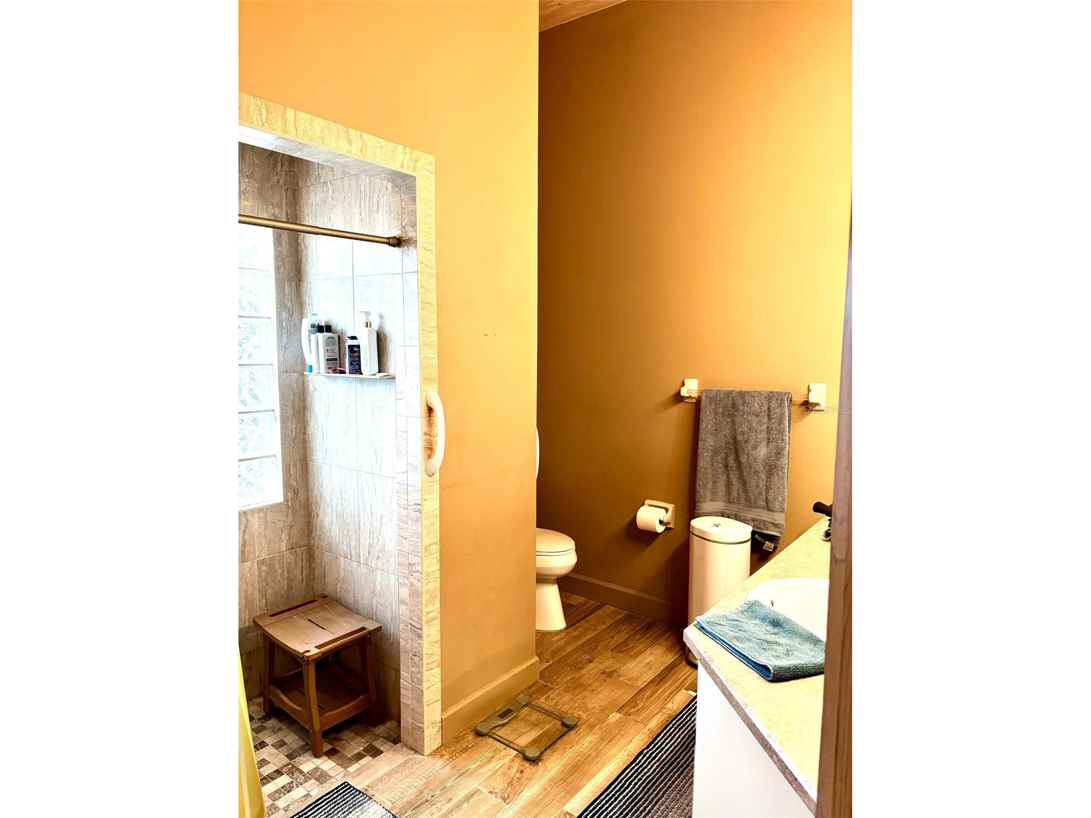 3909 Lake Forest Street Mount Dora FL 32757 O6375149 image17