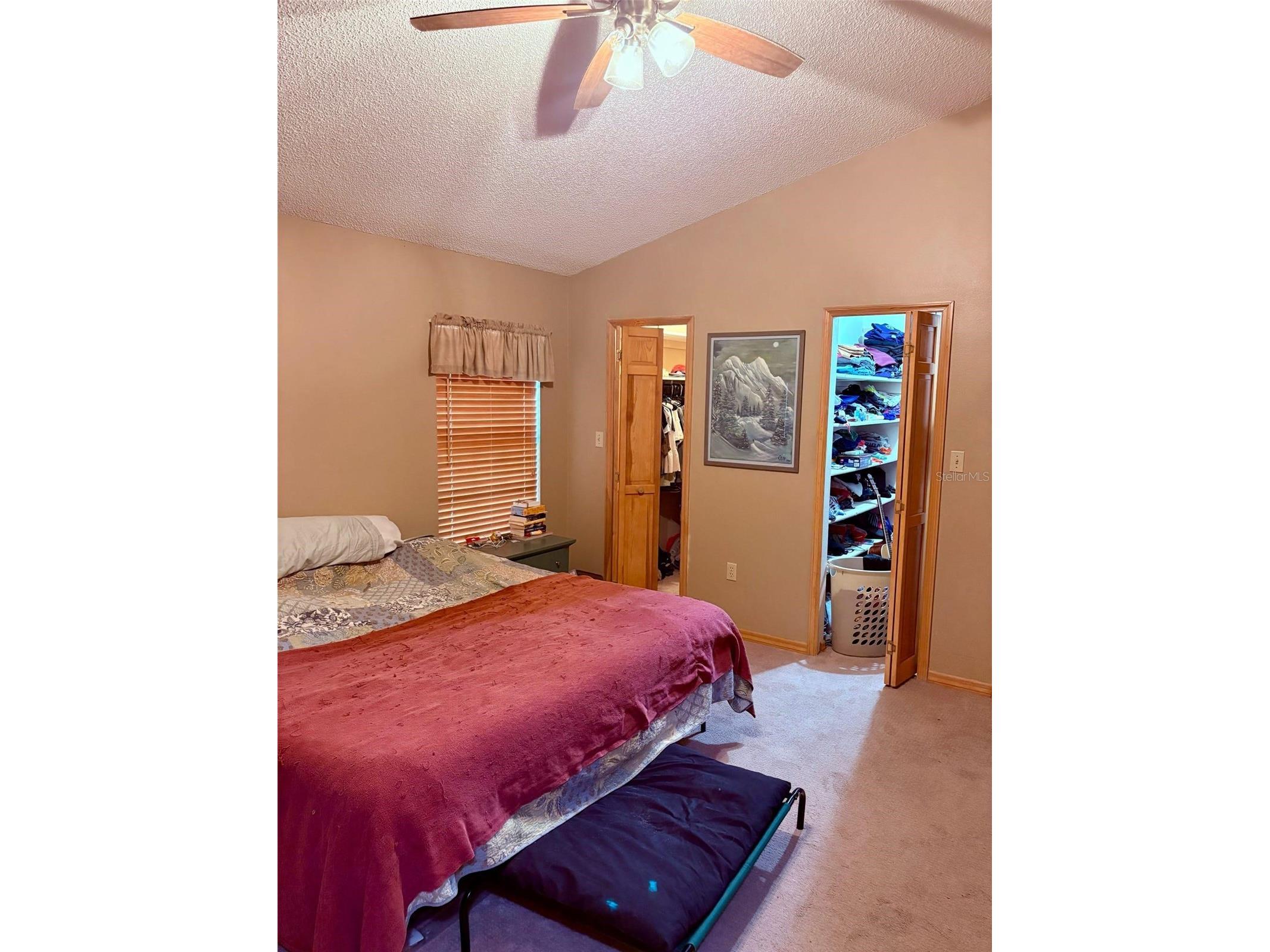 3909 Lake Forest Street Mount Dora FL 32757 O6375149 image18