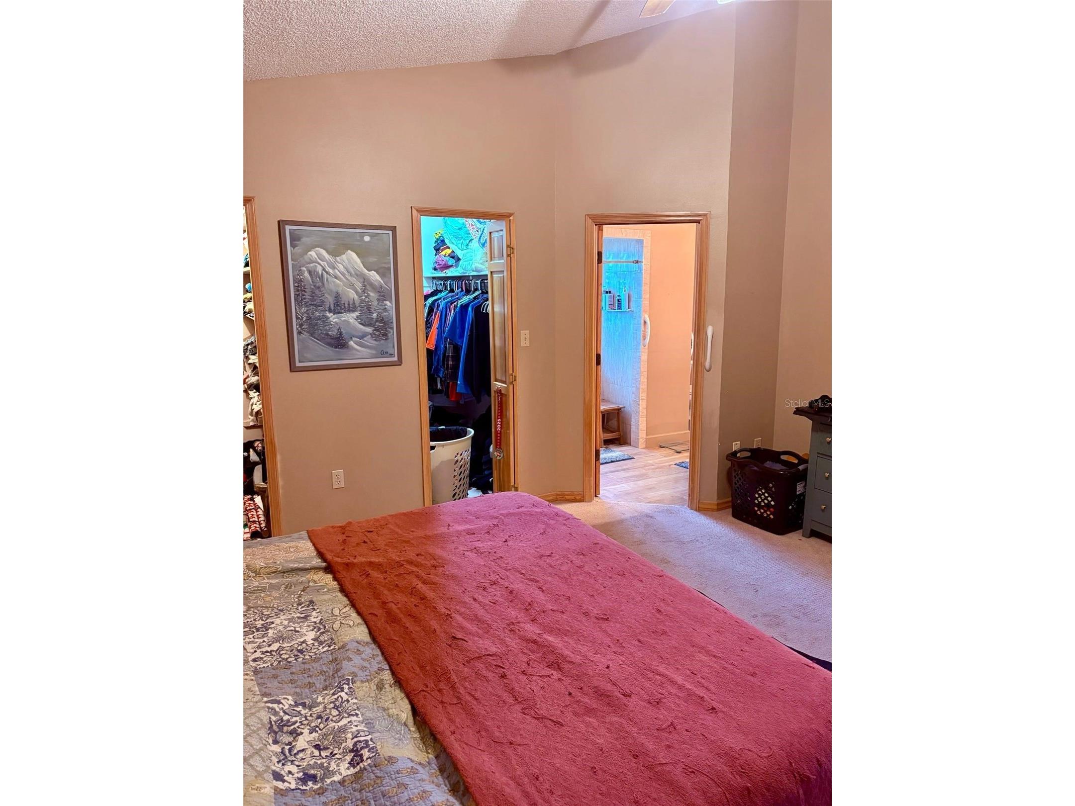 3909 Lake Forest Street Mount Dora FL 32757 O6375149 image19