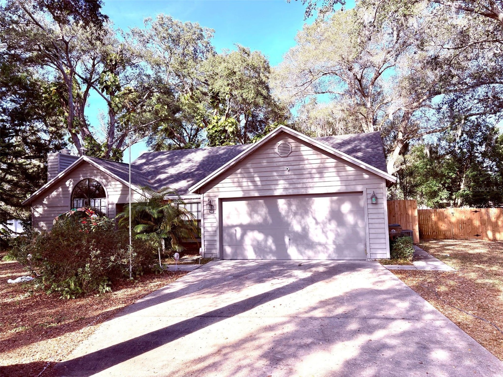 3909 Lake Forest Street Mount Dora FL 32757 O6375149 image2