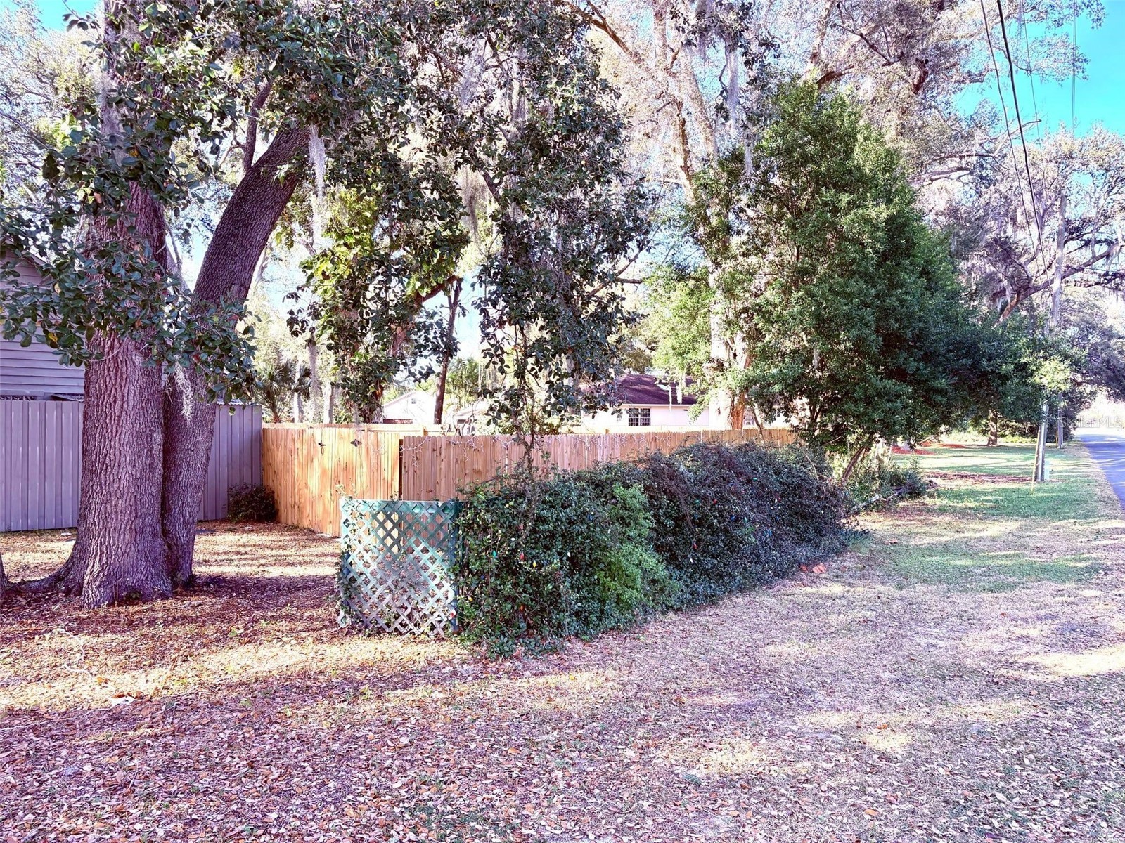 3909 Lake Forest Street Mount Dora FL 32757 O6375149 image27