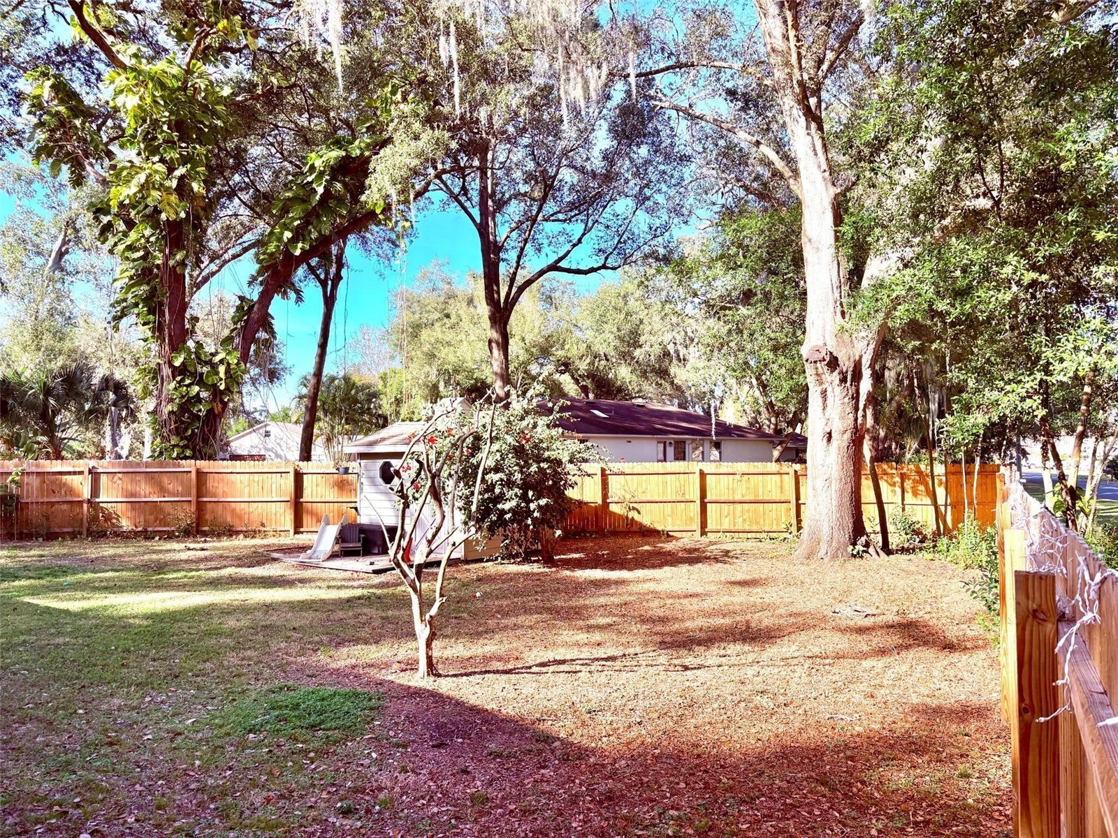 3909 Lake Forest Street Mount Dora FL 32757 O6375149 image29