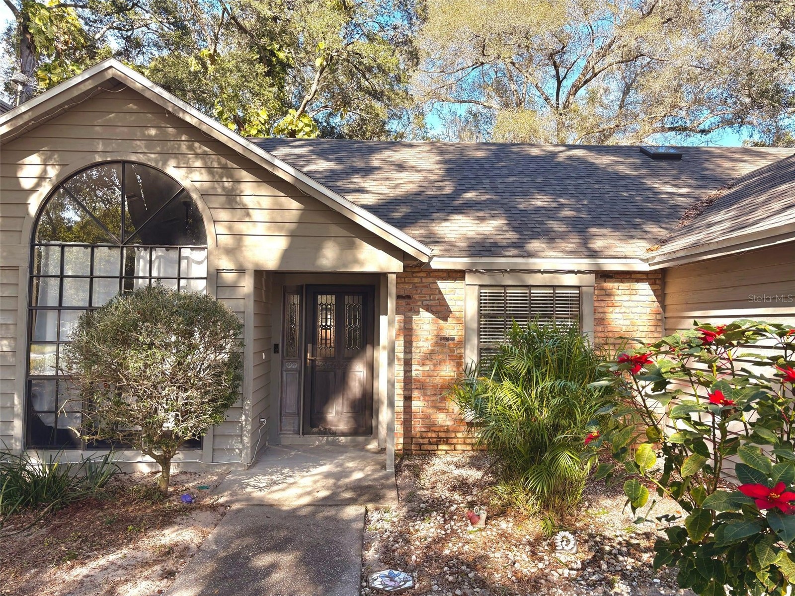 3909 Lake Forest Street Mount Dora FL 32757 O6375149 image3