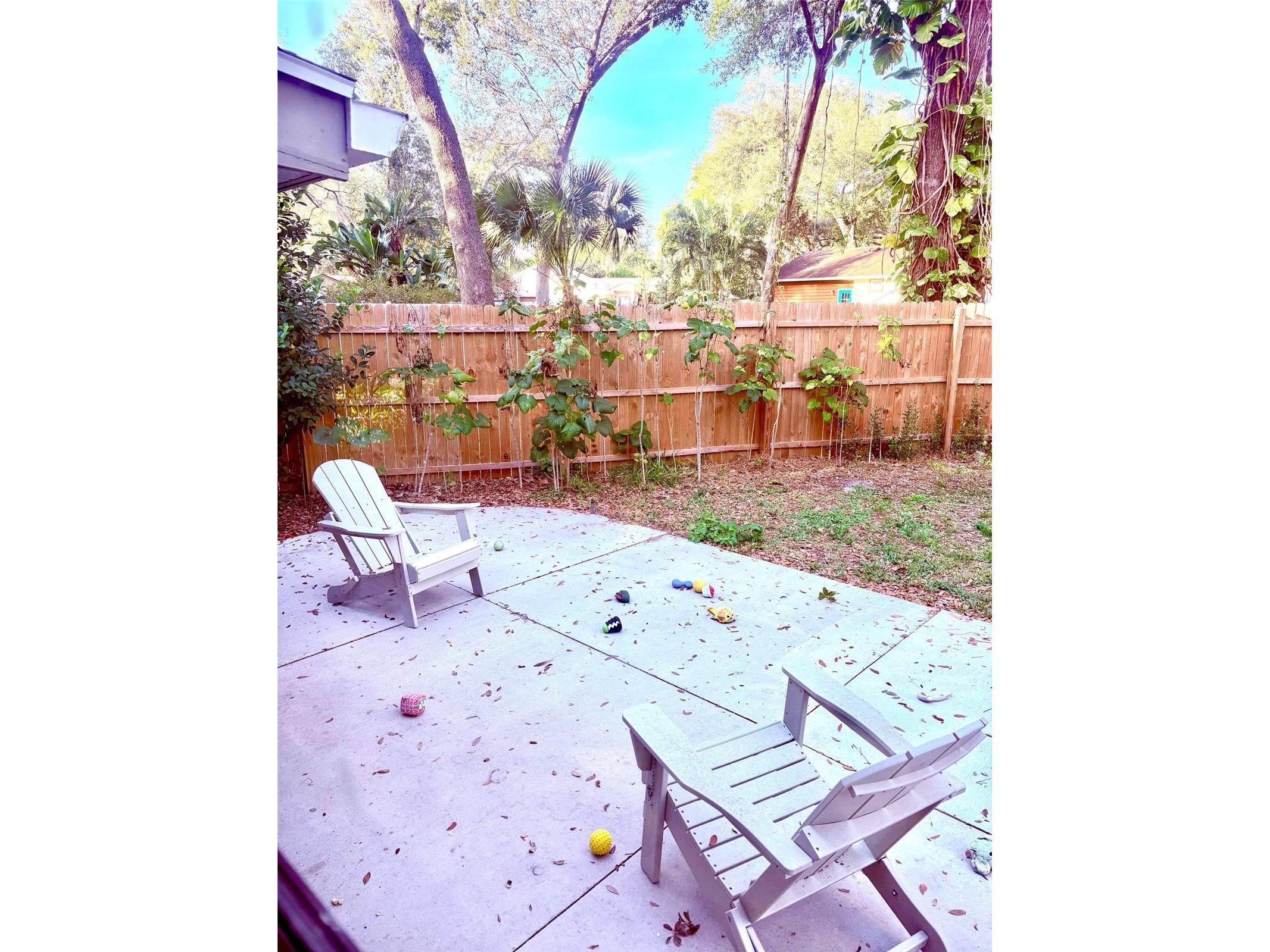 3909 Lake Forest Street Mount Dora FL 32757 O6375149 image30