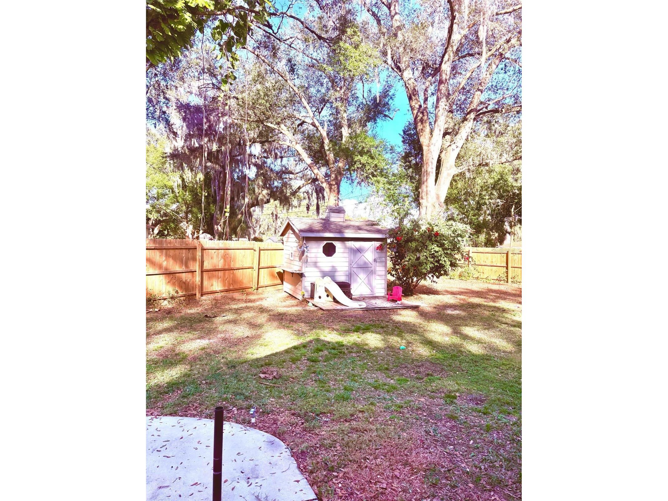 3909 Lake Forest Street Mount Dora FL 32757 O6375149 image31