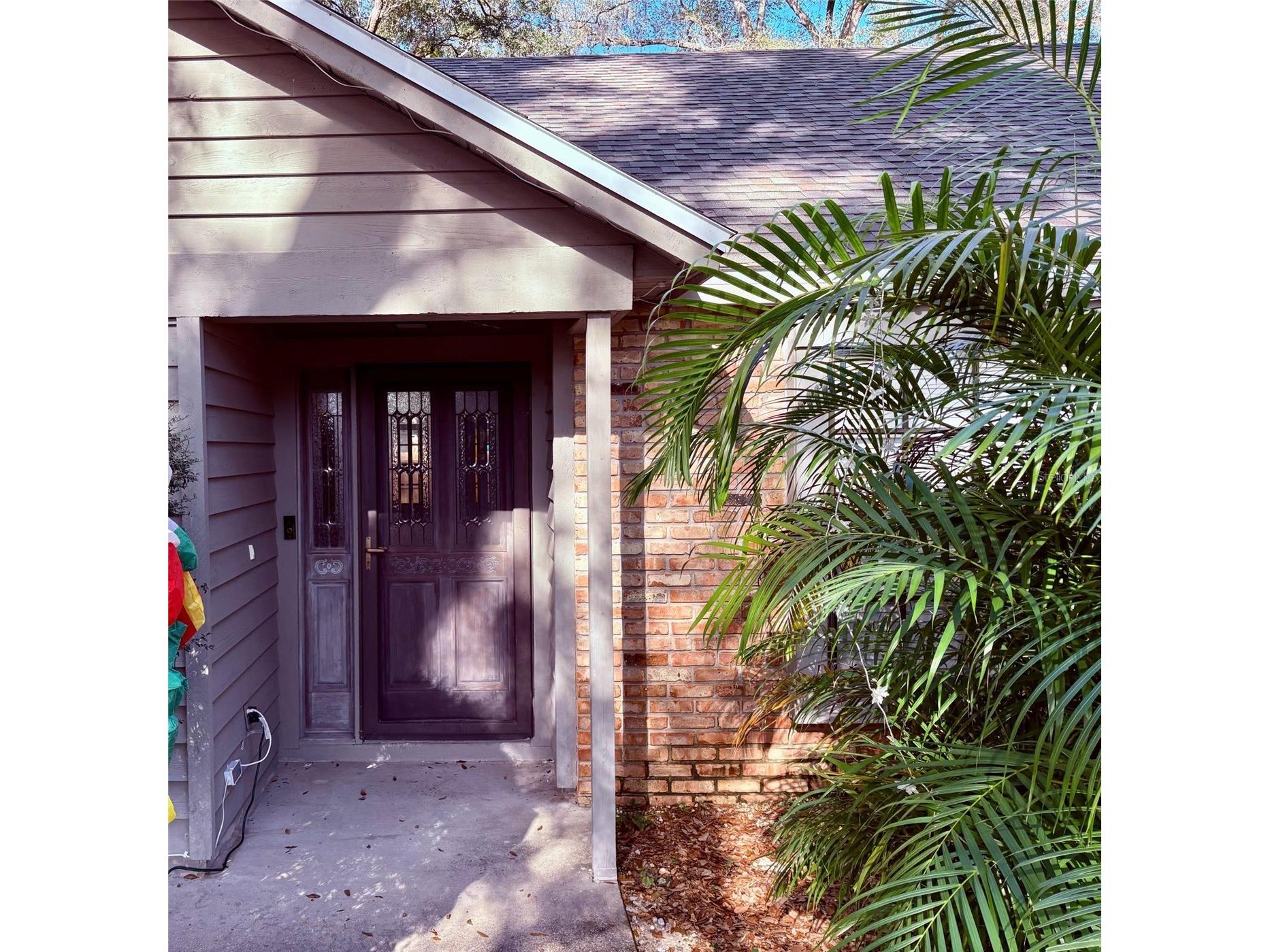 3909 Lake Forest Street Mount Dora FL 32757 O6375149 image4