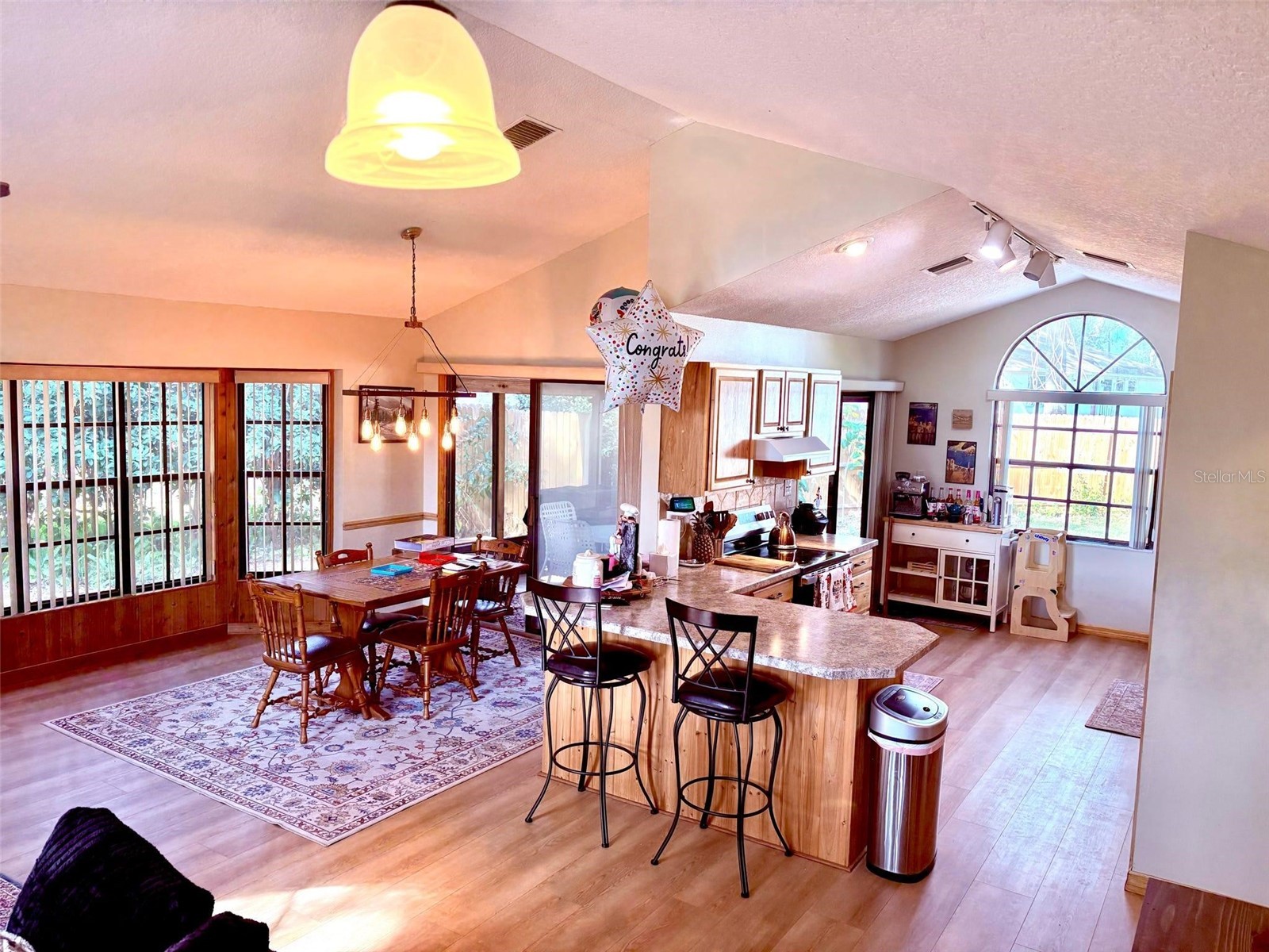 3909 Lake Forest Street Mount Dora FL 32757 O6375149 image7