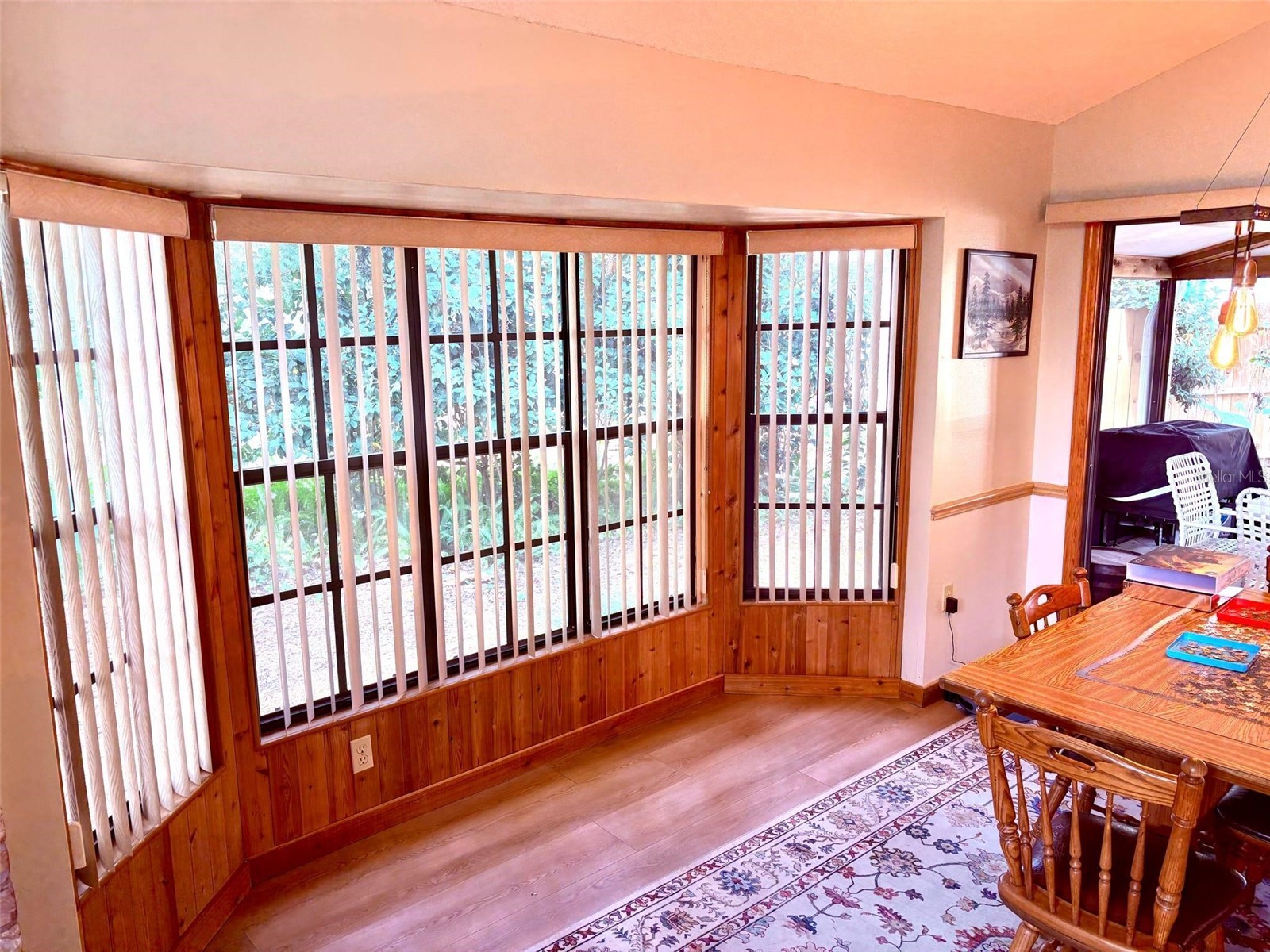 3909 Lake Forest Street Mount Dora FL 32757 O6375149 image8