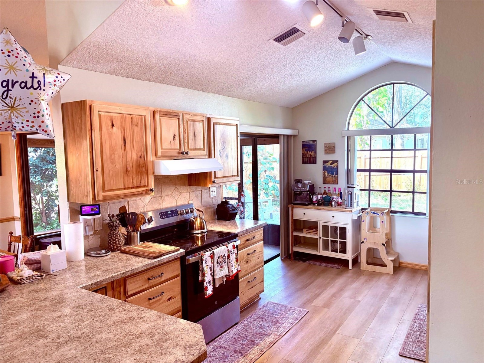 3909 Lake Forest Street Mount Dora FL 32757 O6375149 image9