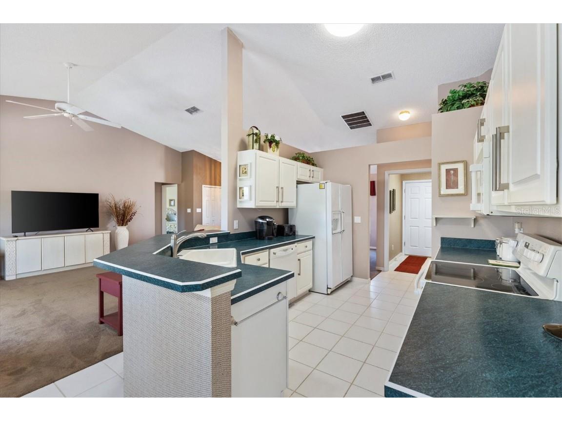 3909 River Crest Circle Leesburg FL 34748 G5093974 image15