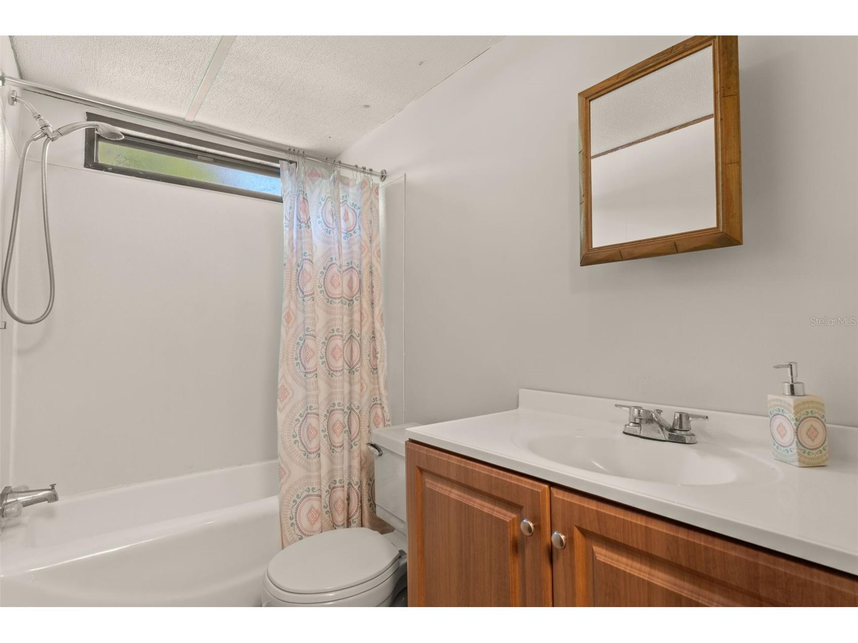 3909 S Cedar Terrace Homosassa FL 34448 A4696222 image22