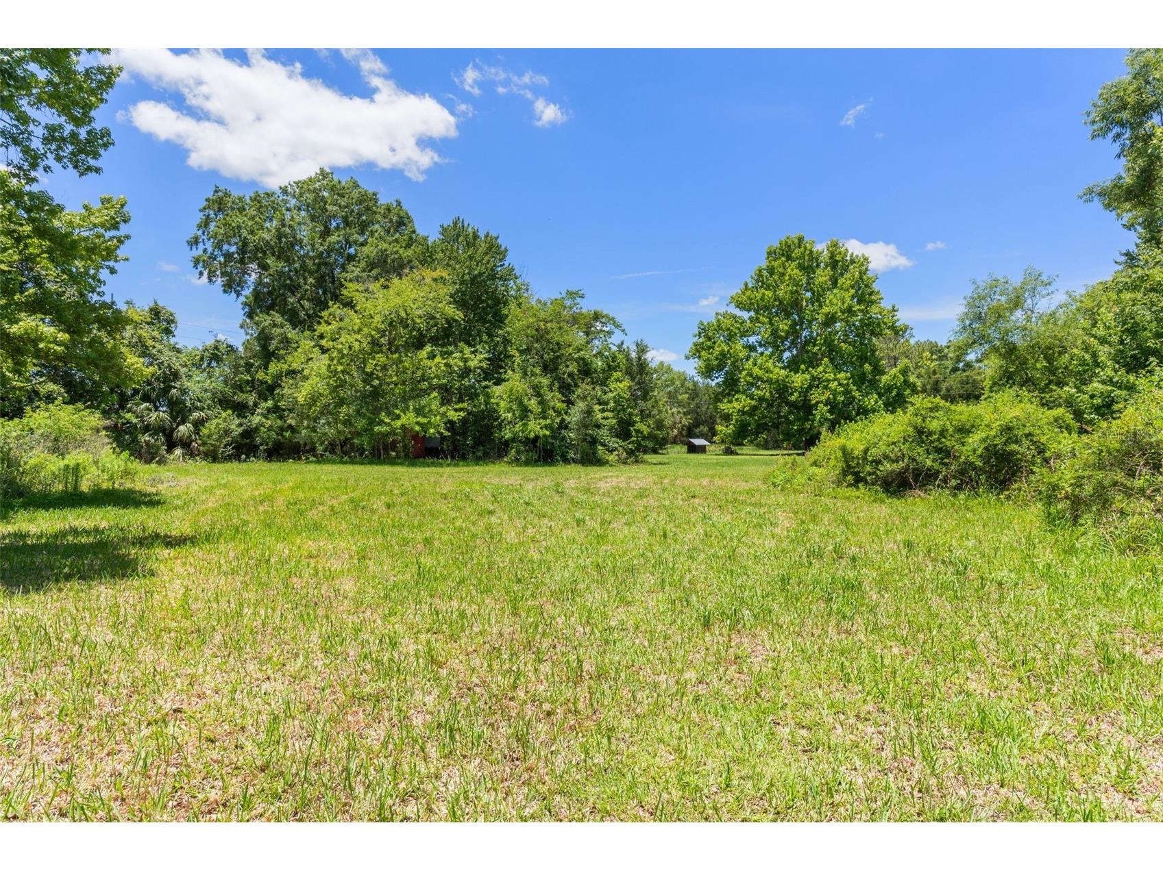 3909 S Cedar Terrace Homosassa FL 34448 A4696222 image29