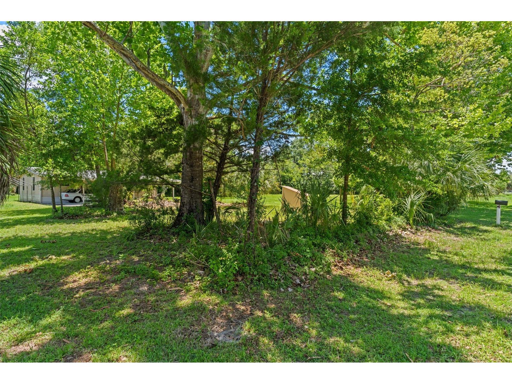 3909 S Cedar Terrace Homosassa FL 34448 A4696222 image36