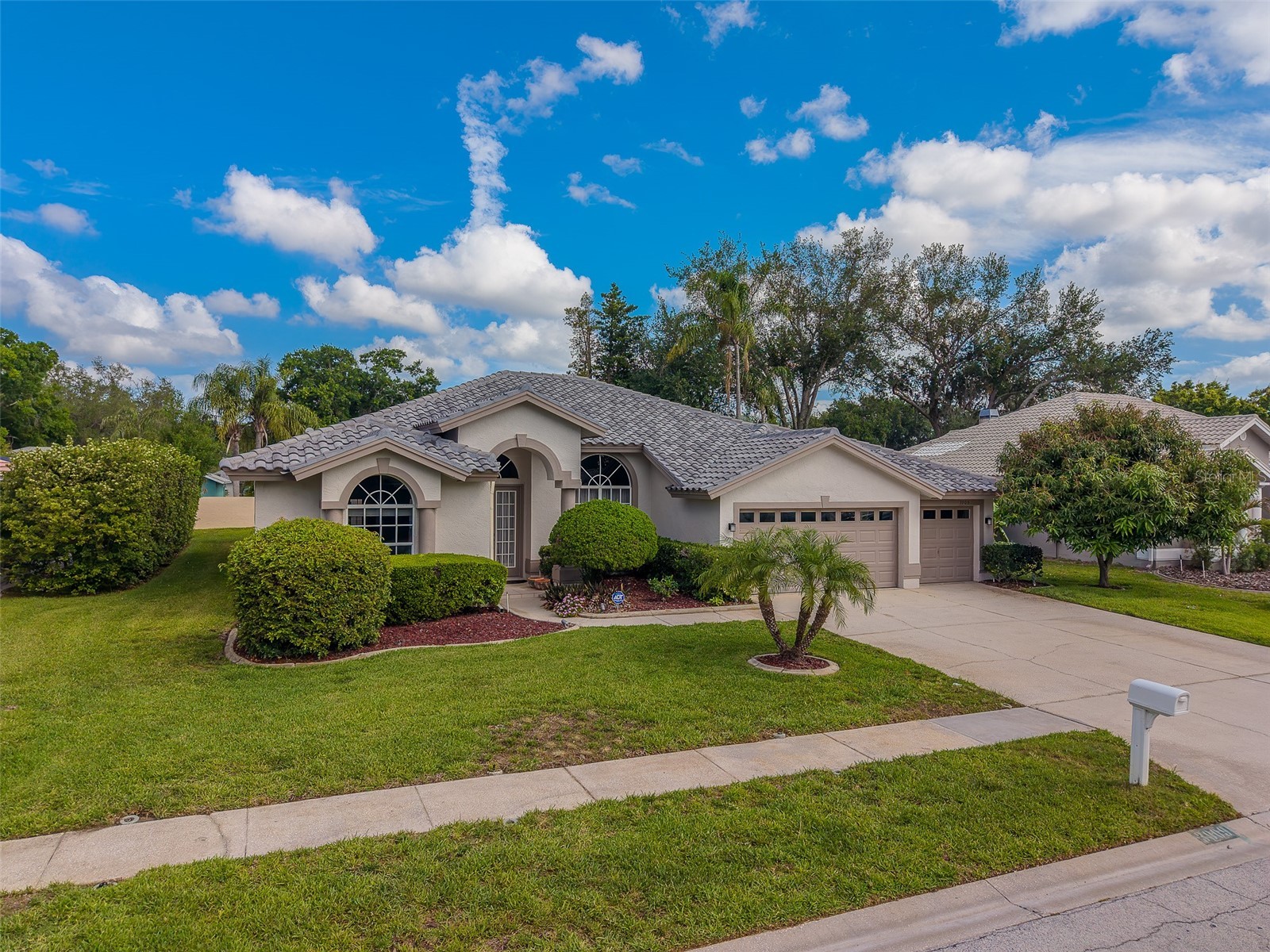 3909 Talah Drive Palm Harbor FL 34684 TB8493674 image1