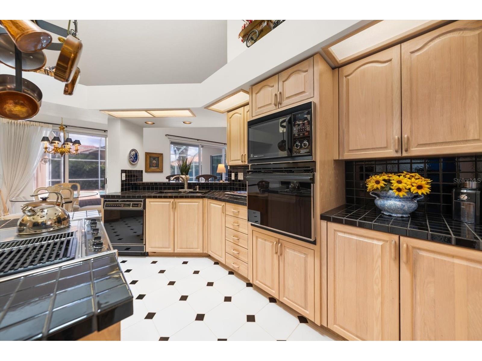 3909 Tarian Court Palm Harbor FL 34684 TB8519770 image16