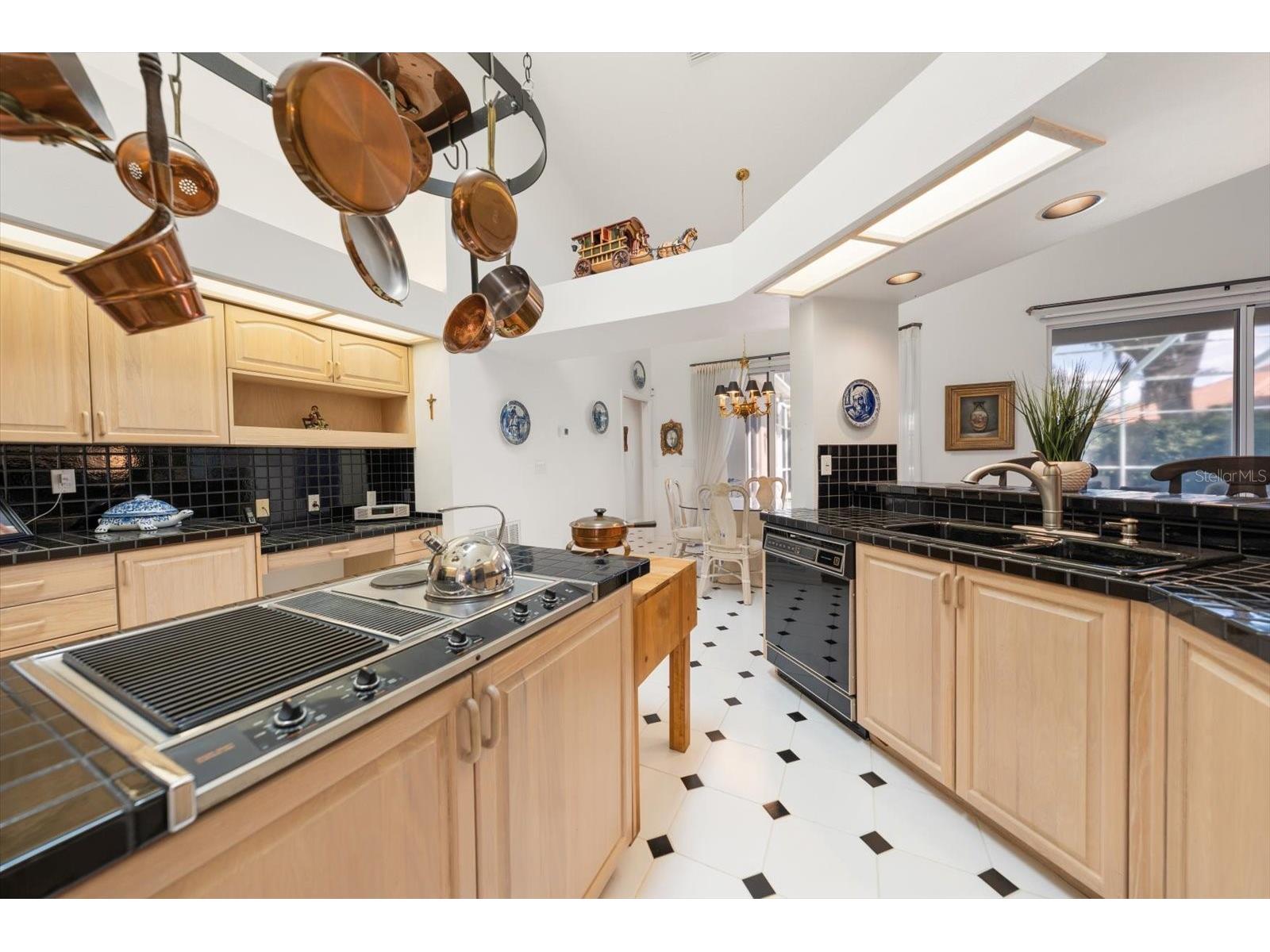 3909 Tarian Court Palm Harbor FL 34684 TB8519770 image17