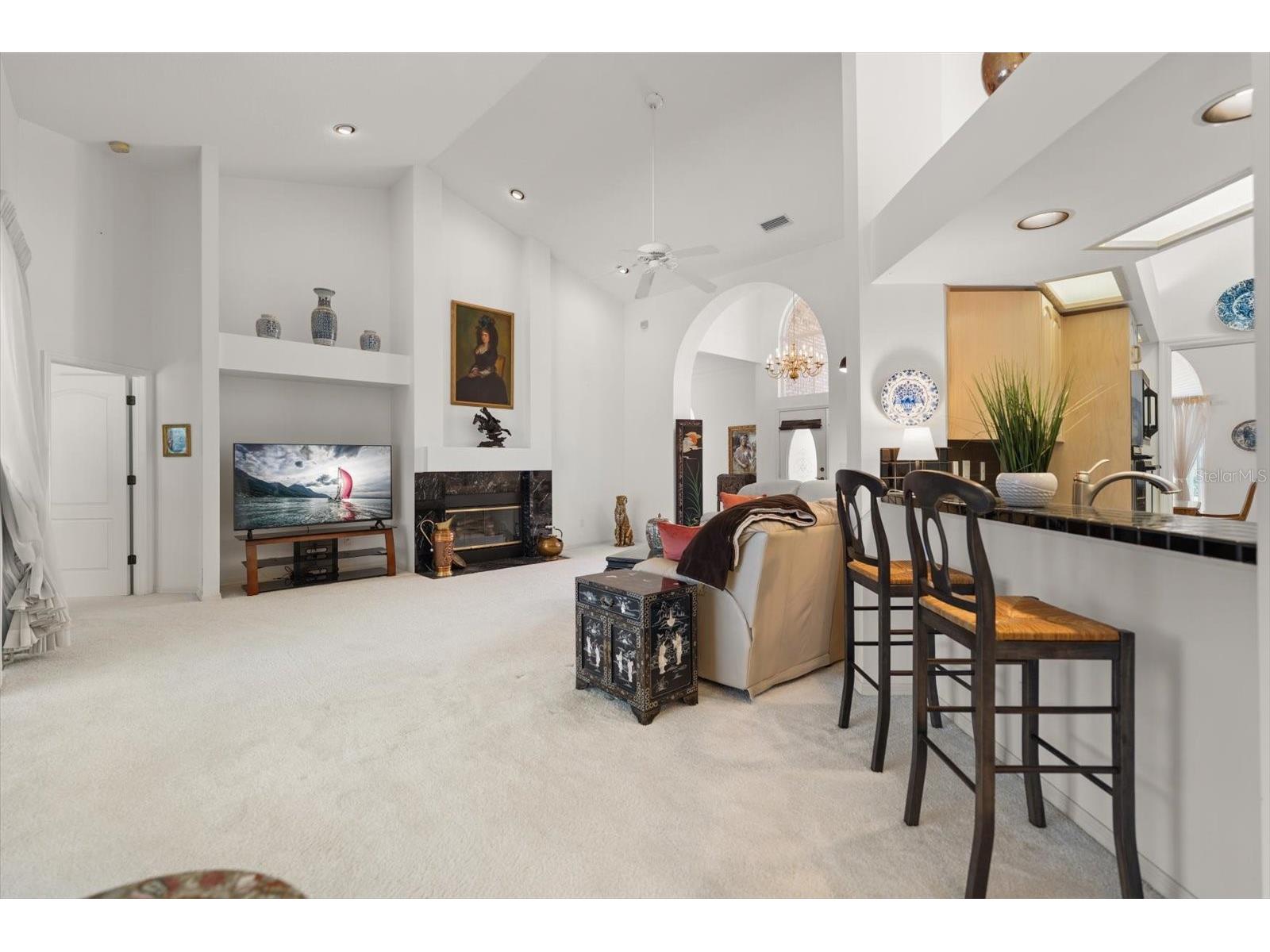 3909 Tarian Court Palm Harbor FL 34684 TB8519770 image19