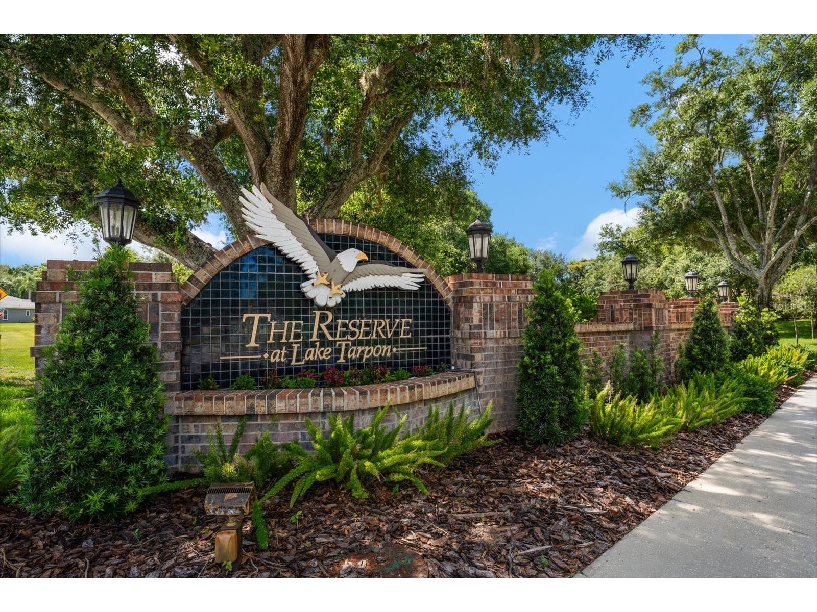 3909 Tarian Court Palm Harbor FL 34684 TB8519770 image2
