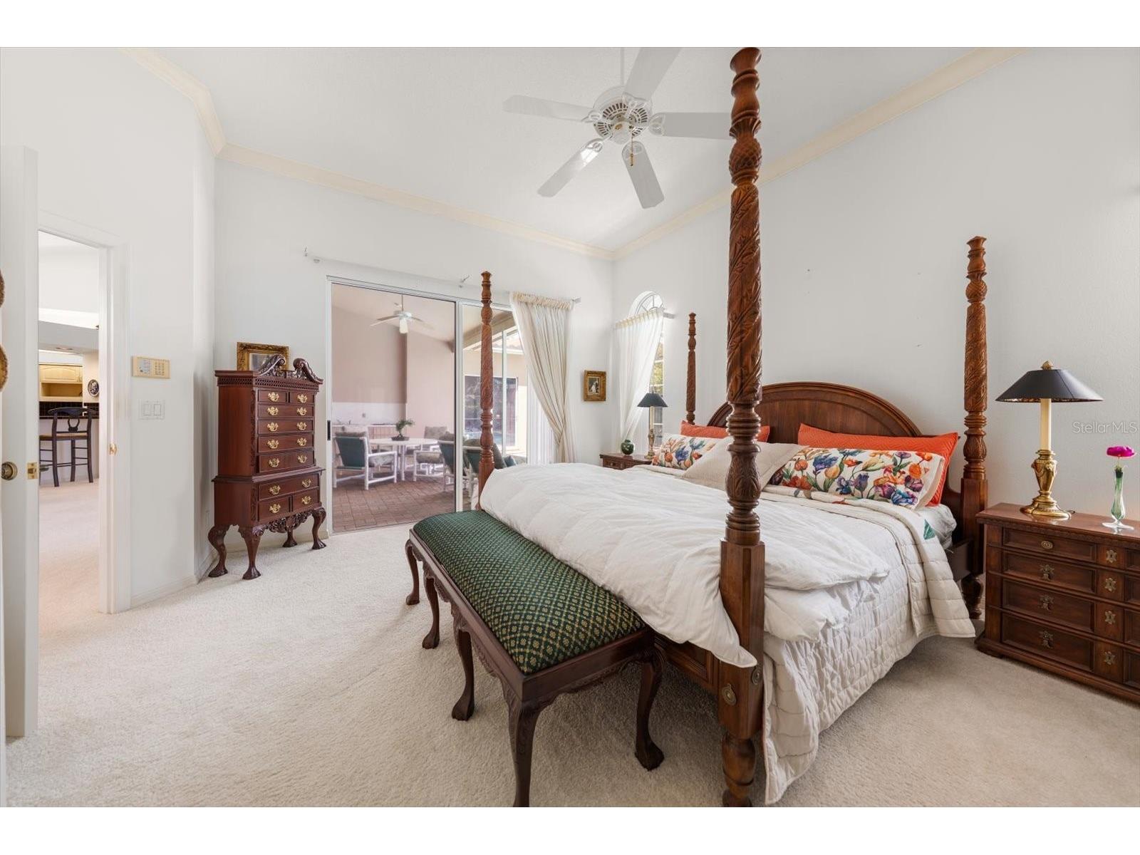 3909 Tarian Court Palm Harbor FL 34684 TB8519770 image22