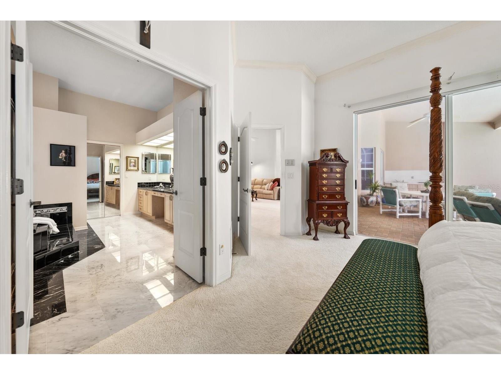 3909 Tarian Court Palm Harbor FL 34684 TB8519770 image24