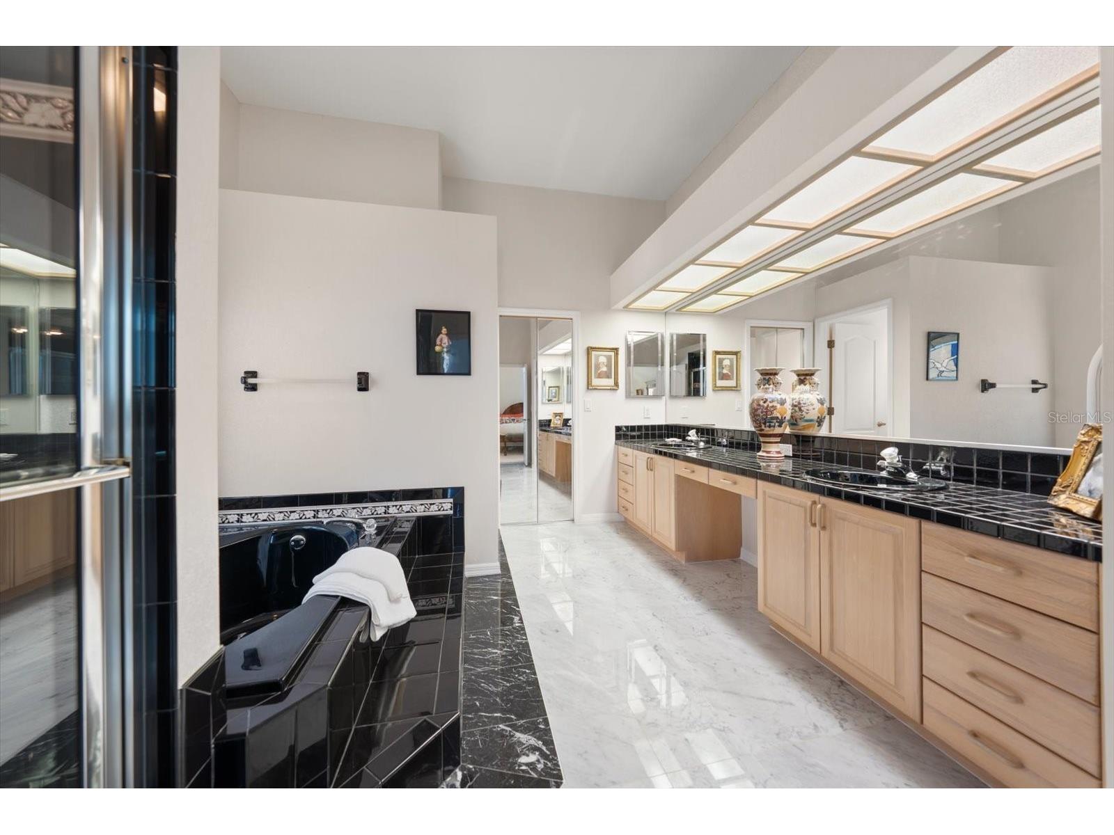 3909 Tarian Court Palm Harbor FL 34684 TB8519770 image26