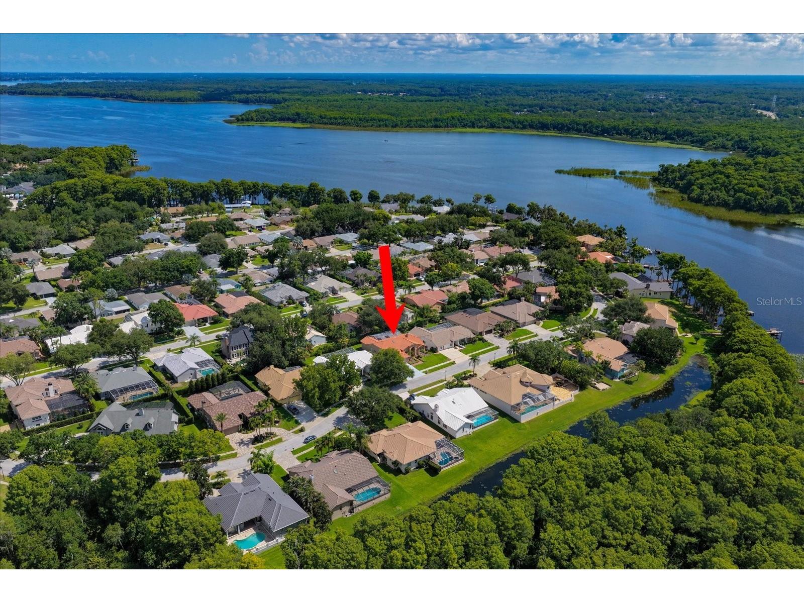 3909 Tarian Court Palm Harbor FL 34684 TB8519770 image3