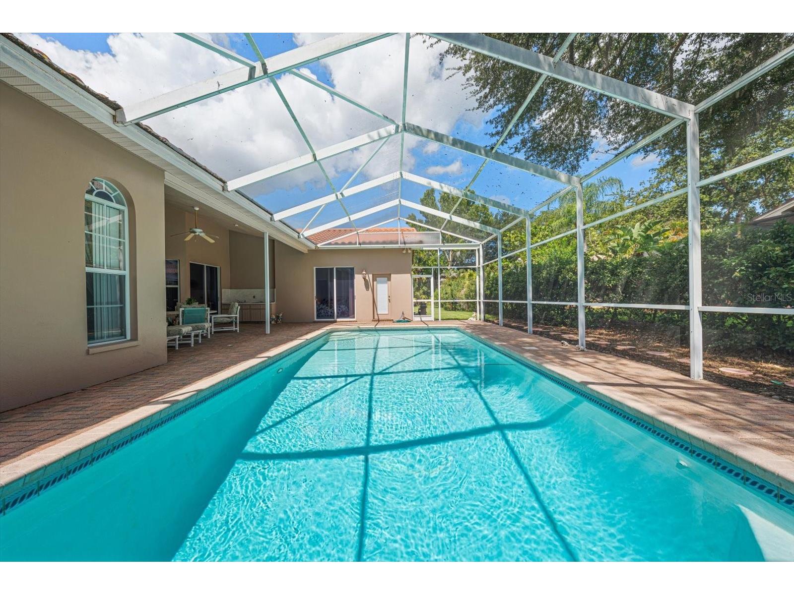 3909 Tarian Court Palm Harbor FL 34684 TB8519770 image35