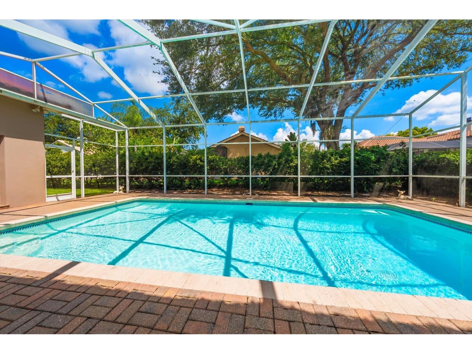 3909 Tarian Court Palm Harbor FL 34684 TB8519770 image36