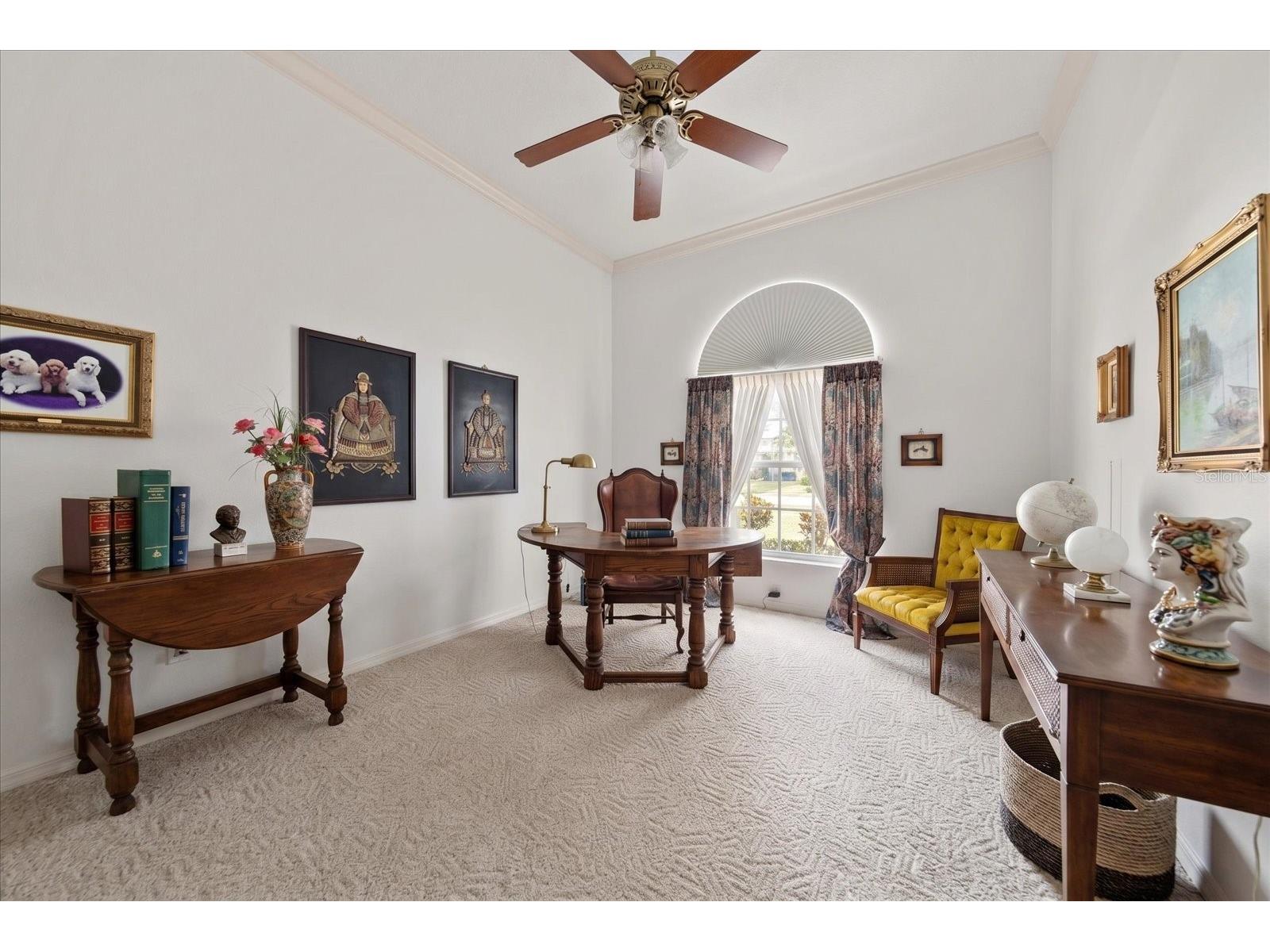3909 Tarian Court Palm Harbor FL 34684 TB8519770 image37
