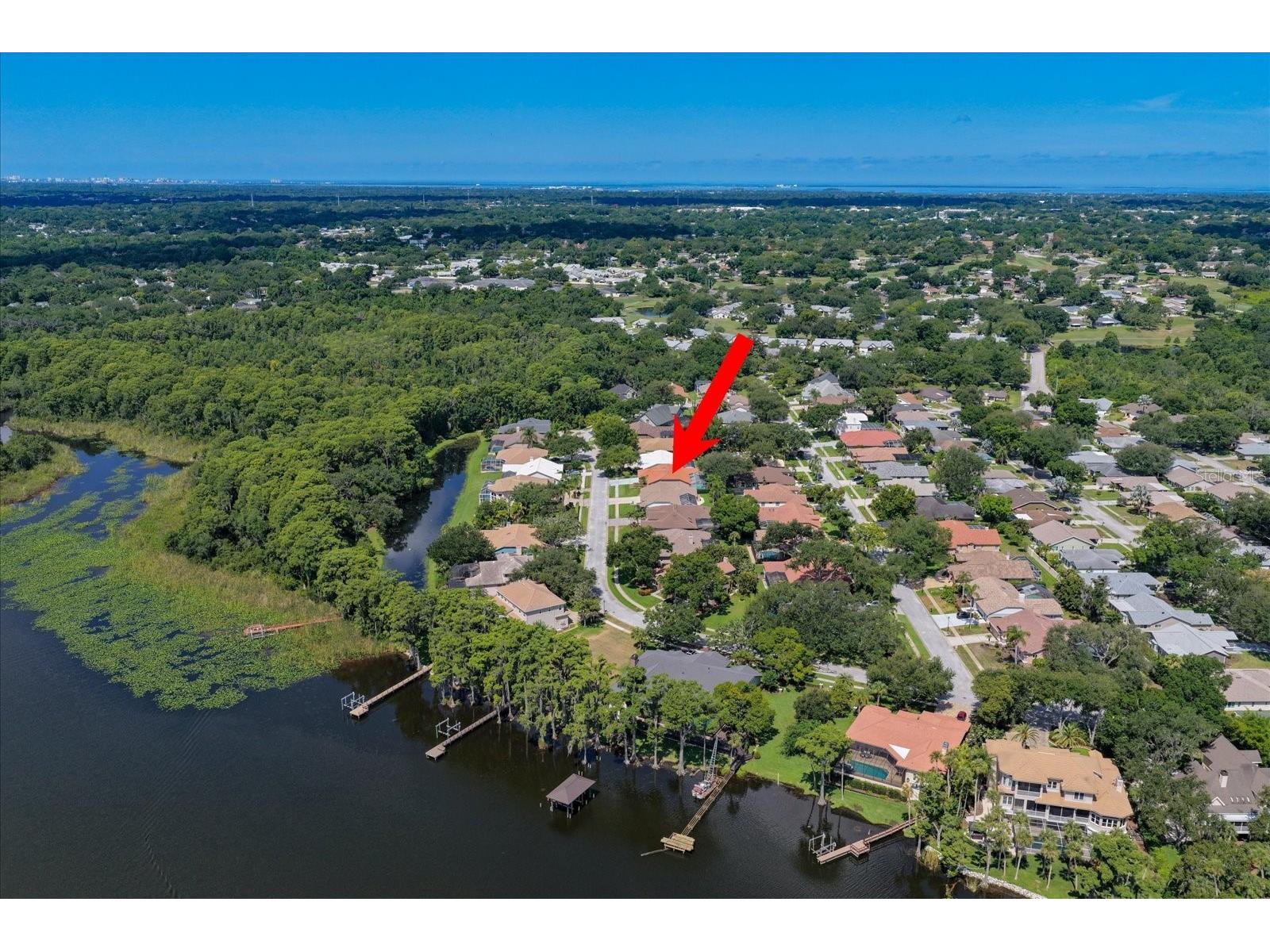 3909 Tarian Court Palm Harbor FL 34684 TB8519770 image4