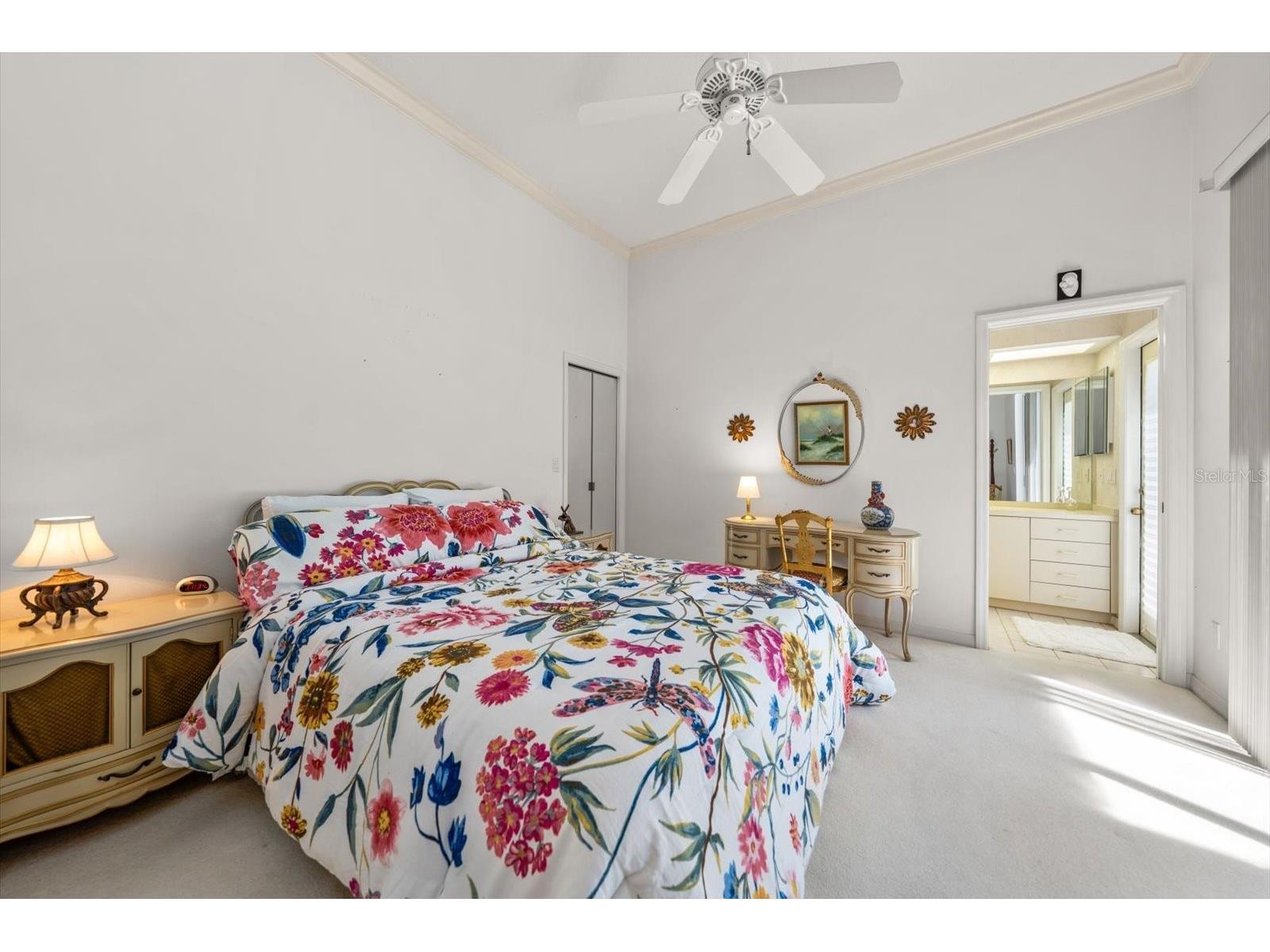 3909 Tarian Court Palm Harbor FL 34684 TB8519770 image42