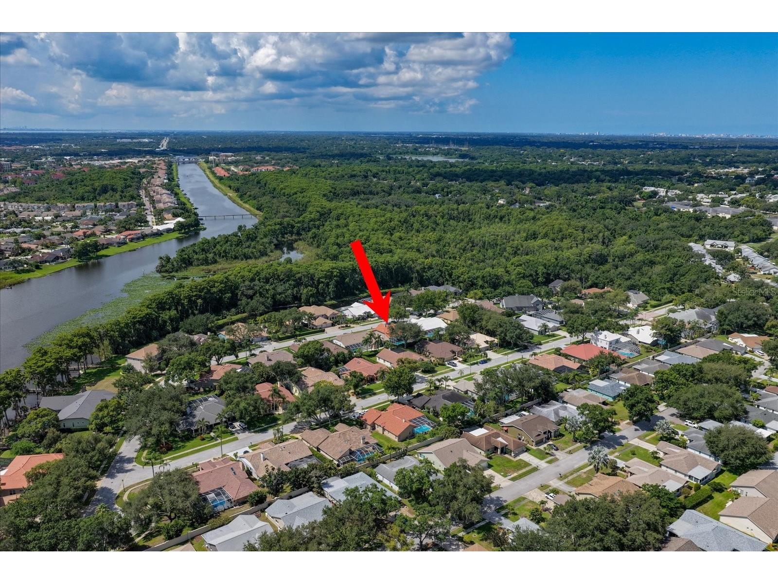 3909 Tarian Court Palm Harbor FL 34684 TB8519770 image46
