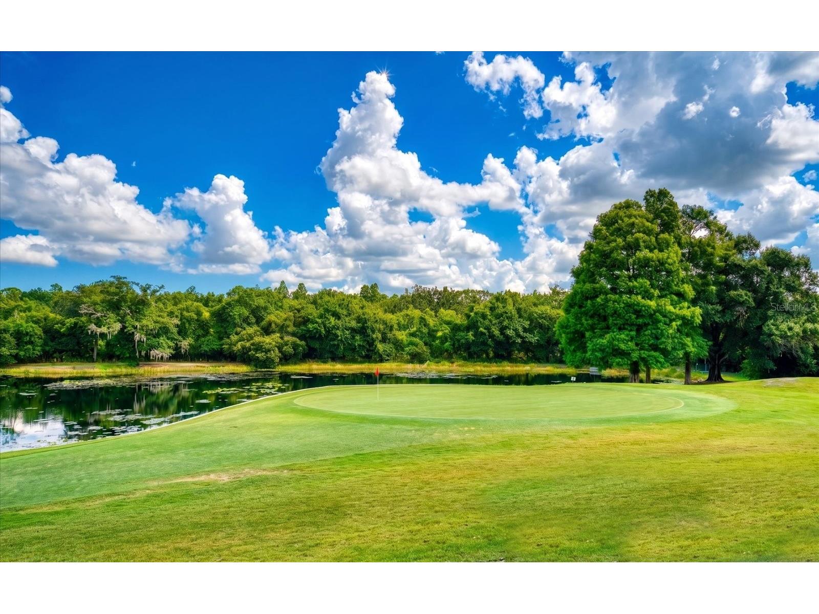 3909 Tarian Court Palm Harbor FL 34684 TB8519770 image49