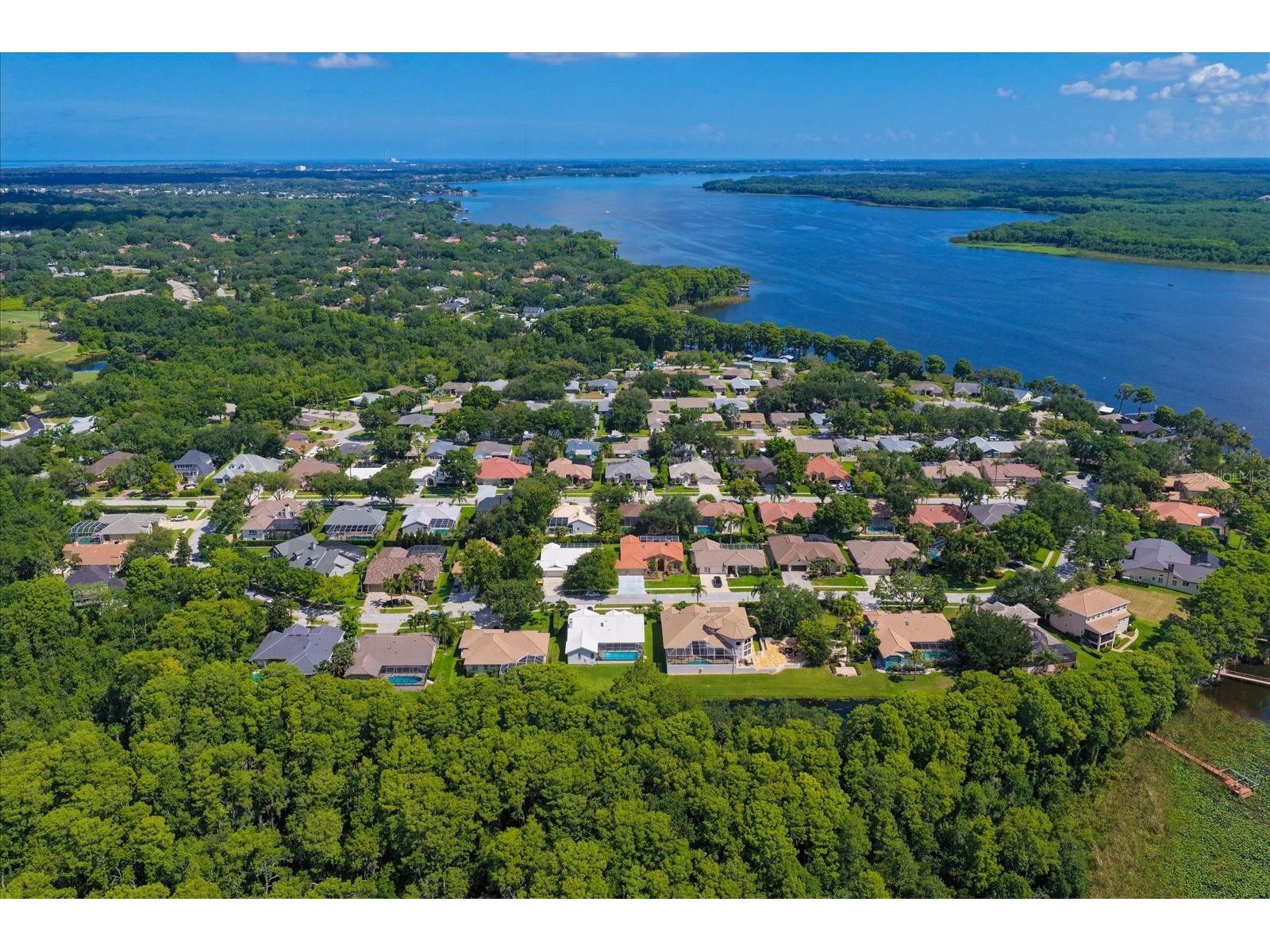 3909 Tarian Court Palm Harbor FL 34684 TB8519770 image51