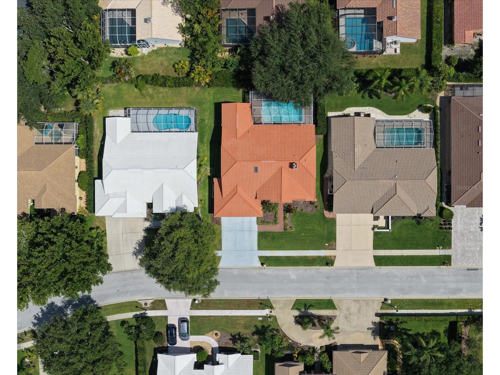 3909 Tarian Court Palm Harbor FL 34684 TB8519770 image53